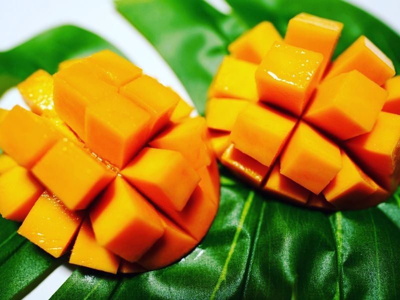 E43FC2E4-CC1A-4A4C-9E10-FB774B066B0C