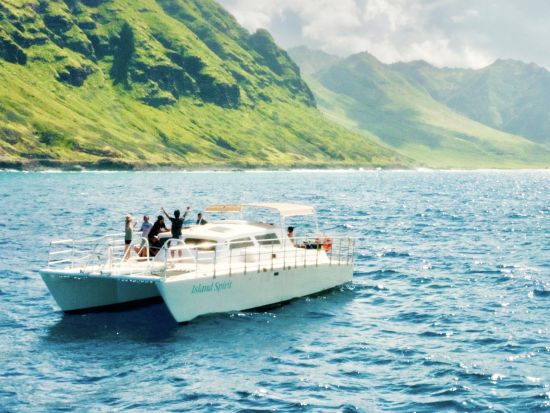 イルカと泳ぐ＆ウミガメシュノーケリングクルーズ　高確率のイルカ遭遇が自慢！たっぷり4時間＆少人数制で安心＜特製ハワイアンランチ付き／ワイキキ送迎／日本語ガイド＞