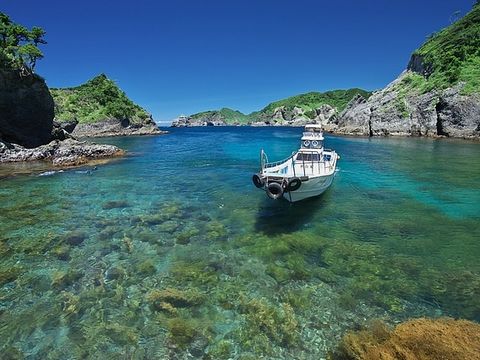 静岡 伊豆 下田 白浜 旅行の観光 遊び 体験 レジャー予約サイト Veltra ベルトラ 静岡 伊豆 下田 白浜 旅行の観光 遊び 体験 レジャー予約サイト Veltra ベルトラ