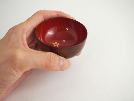 P6030019_(2)_(1024x785)