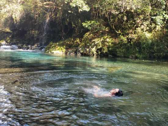 里山テントサウナ　大自然の中でととのう！話題のアウトドアサウナを富士山麗の川のほとりで体験＜午前・午後／富士宮市＞