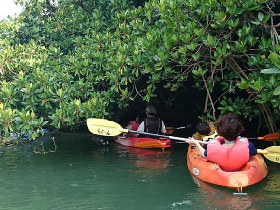 マングローブカヌーツアー　宮良川のマングローブを探索しながらサンゴ礁でできた洞窟へもご案内！＜0歳から参加可能＞ By らぐ～ん