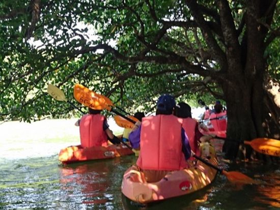 マングローブカヌーツアー　宮良川のマングローブを探索しながらサンゴ礁でできた洞窟へもご案内！＜0歳から参加可能＞ By らぐ～ん