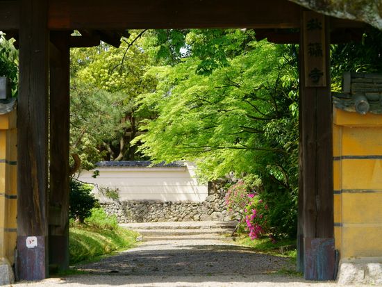 秋篠寺 観光情報 観光情報 奈良観光 Veltra ベルトラ 秋篠寺 観光情報 観光情報 奈良観光 Veltra ベルトラ