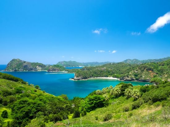 父島ツアー3日間パックプラン! シュノーケル体験＋海＆南島観光ツアー＋父島フォレストウォーク＜3日間／小笠原諸島＞by小笠原エコツーリズムリゾート