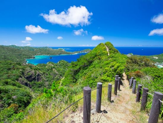父島フォレストウォーク 亜熱帯の森をのんびり歩きながら動植物の進化の謎に触れる半日コース＜午前・午後／送迎付き／小笠原諸島・父島＞by 竹ネイチャーアカデミー