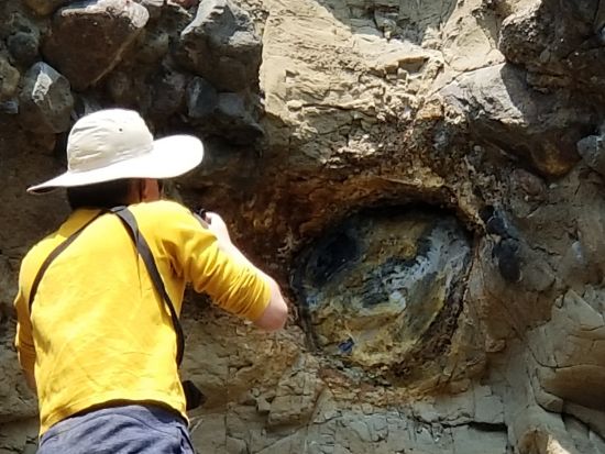 世界遺産イエローストーン国立公園4泊5日ツアー　公園公認エキスパートガイドがご案内 ＜4～10月／貸切／日本語ガイド／ボーズマン空港発着＞