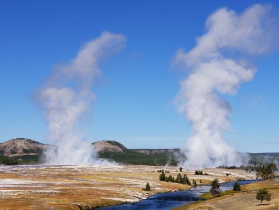 世界遺産イエローストーン国立公園3泊4日ツアー　公園公認エキスパートガイドがご案内 ＜4～10月／貸切／日本語ガイド／ボーズマン空港発着＞