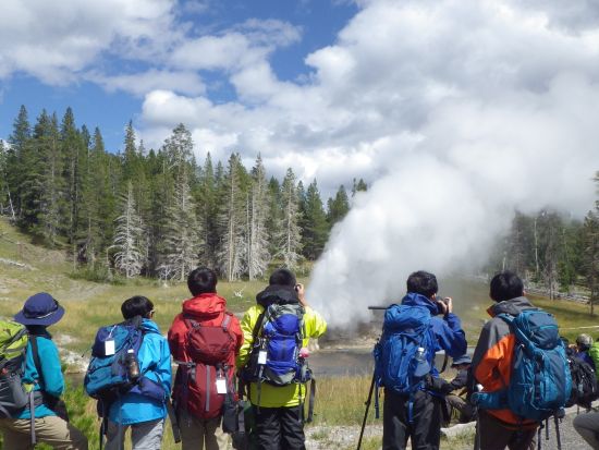 世界遺産イエローストーン国立公園4泊5日ツアー　公園公認エキスパートガイドがご案内 ＜4～10月／貸切／日本語ガイド／ボーズマン空港発着＞