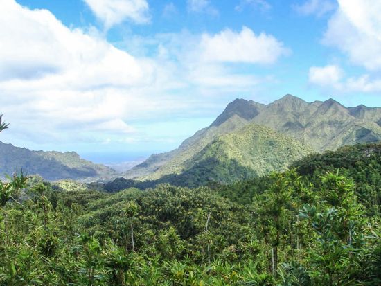 オアフ島　タンタラスの丘 緑豊かな熱帯雨林と火山の噴石丘陵をハイキング　中級～上級者向け＜英語ガイド＞