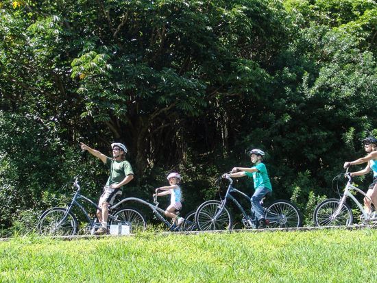 オアフ島 マウンテンバイクツアー　絶景ポイントを眺めながらタンタラスの丘を自転車で下る約8kmのコース　初心者～中級者向け＜英語ガイド＞