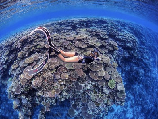 スキンダイビング＋マンタシュノーケリング 　器材を背負わず自分の一呼吸で素潜り体験！海の世界をフリースタイルで楽しむ＜少人数制／石垣島発＞by カフー石垣