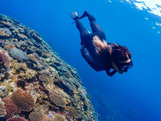 ウミガメシュノーケリング スキンダイビング付プランあり＜器材無料レンタル付き／半日 or 1日／石垣市街地送迎付き／石垣島発＞by カフー石垣