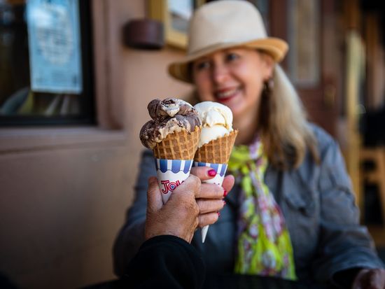 ミュアウッズ国定公園とサウサリート半日観光ツアー 午前 英語ガイド 日本語音声ガイド付 サンフランシスコの観光 オプショナルツアー専門 Veltra ベルトラ