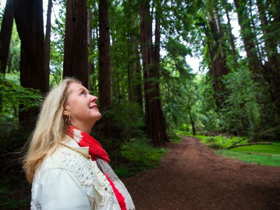 ミュアウッズ国定公園＆サウサリート　半日観光ツアー ＜日本語音声ガイド付き＞