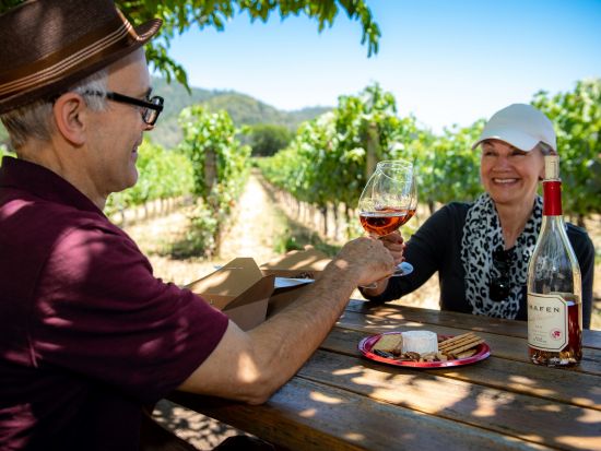 ナパ＆ソノマバレー観光ツアー　ワイナリー訪問（3軒）＆ミュアウッズ国定公園ハイキング ＜試飲付き／日本語オーディオガイド＞