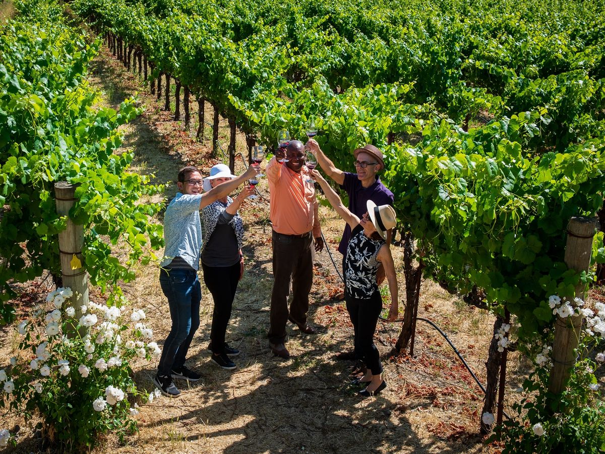 Napa Valley サンフランシスコ　ワイナリー　ステンドガラス ナパ・ソノマ (ワインツアー) | サンフランシスコの観光・ツアー