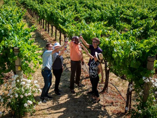 ナパ＆ソノマバレー観光ツアー　ワイナリー訪問（3軒）＆ミュアウッズ国定公園ハイキング ＜試飲付き／日本語オーディオガイド＞