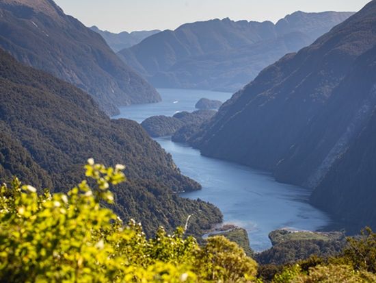 世界遺産フィヨルドランド国立公園　ダウトフルサウンド1日観光ツアー＜英語ガイド／クイーンズタウン発＞