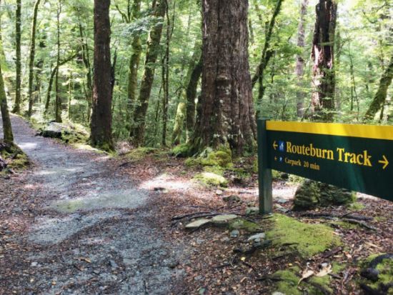 ルートバーントラック1日体験ハイキング by ウィルダネスアドベンチャーズ社＜日本語ガイド／クイーンズタウン発＞