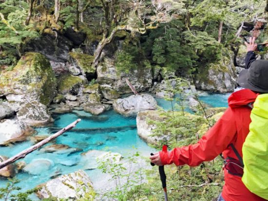 ルートバーントラック1日体験ハイキング by ウィルダネスアドベンチャーズ社＜日本語ガイド／クイーンズタウン発＞