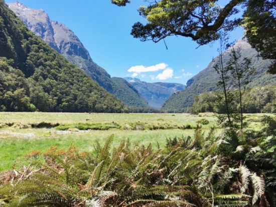 ルートバーントラック1日体験ハイキング by ウィルダネスアドベンチャーズ社＜日本語ガイド／クイーンズタウン発＞