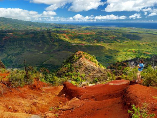 カウアイ島1日ツアー　ワイメアキャニオン観光＆コケエ州立公園ハイキング＆コーヒー農園 ＜英語ドライバーガイド＞
