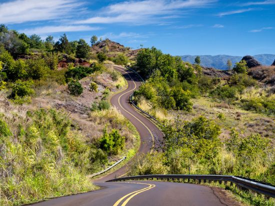 カウアイ島1日ツアー　ワイメアキャニオン観光＆コケエ州立公園ハイキング＆コーヒー農園 ＜英語ドライバーガイド＞