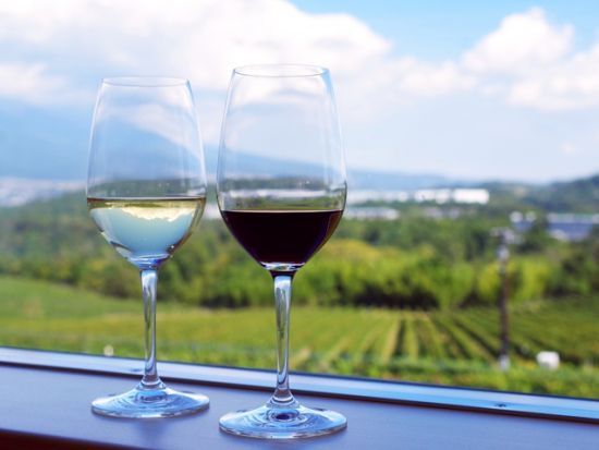 貸切観光タクシー　千曲川ワインバレーでワイナリー巡り　お好きなワイナリーへご案内＜4時間または8時間／1-9名／軽井沢町内発着＞