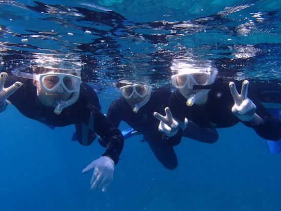 シュノーケリング半日ツアー 屋久島公認ガイドの石原さんがご案内　360度カメラで撮影した記念写真プレゼント付き by aqua style