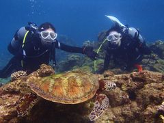 diving1