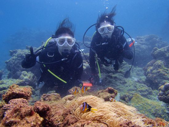 安房川リバーカヤック＆ビーチ体験ダイビング1日ツアー　屋久島公認ガイドの石原さんがご案内　＜昼食付き＞ by aqua style