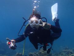 diving4