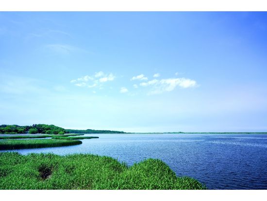 女満別空港送迎+そのまま観光タクシー 天に続く道、オシンコシンの滝など知床観光！出発日・到着日に便利＜3時間貸切／1～4名／女満別空港又は斜里町ウトロ温泉発着＞の写真2