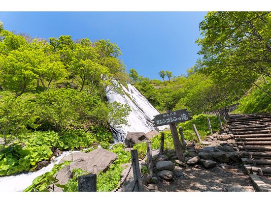 女満別空港送迎+そのまま観光タクシー 天に続く道、オシンコシンの滝など知床観光！出発日・到着日に便利＜3時間貸切／1～4名／女満別空港又は斜里町ウトロ温泉発着＞の写真4