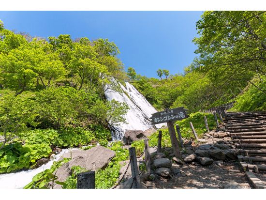 女満別空港送迎+そのまま観光タクシー 天に続く道、オシンコシンの滝など知床観光！出発日・到着日に便利＜3時間貸切／1～4名／女満別空港又は斜里町ウトロ温泉発着＞