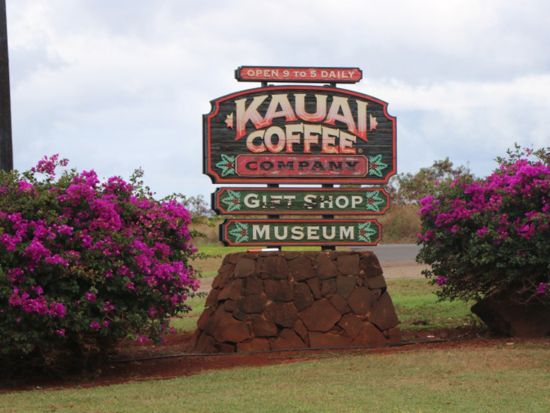 カウアイ島日帰りツアー　ワイメア渓谷＆シダ洞窟へ行くワイルア川クルーズ ＜英語ガイド＞ 