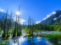 pixta_42130309_M