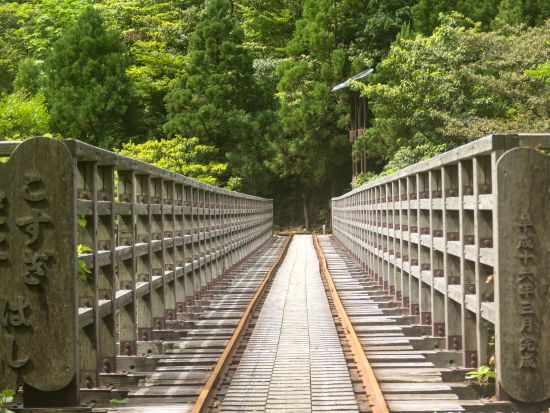 縄文杉日帰りトレッキングツアー 登山装備レンタル＆お弁当の事前申し込み可能　by 屋久島ガイド21EC-K 
