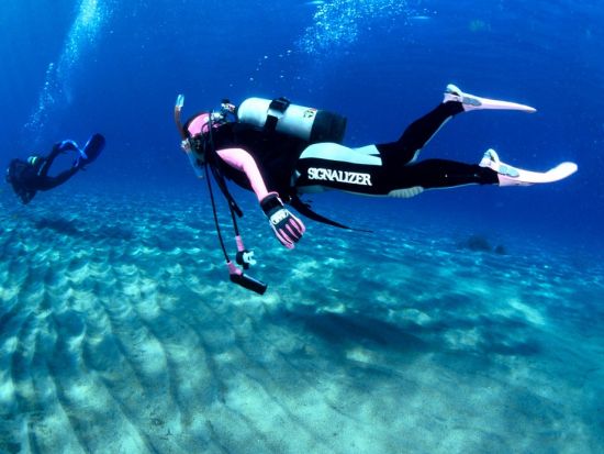 体験ダイビング 経験豊富なインストラクターが佐渡島の海へご案内＜ビーチ／1ダイブ／3時間＞by ダイビングサービスF.WAVE