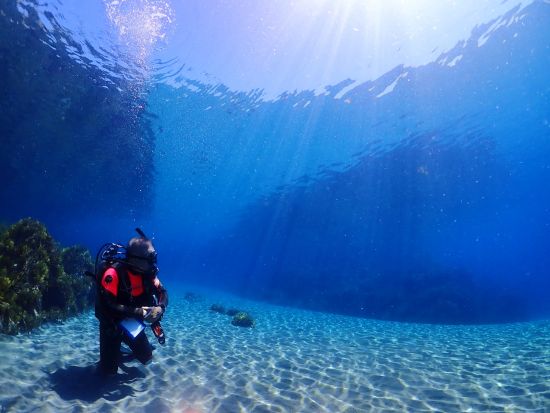 体験ダイビング 経験豊富なインストラクターが佐渡島の海へご案内＜ビーチ／1ダイブ／3時間＞by ダイビングサービスF.WAVE