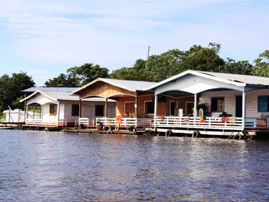 2つの川の合流地点を望む！アマゾン川クルーズ観光ツアー＜貸切／1日／昼食／英語ガイド／マナウス発＞