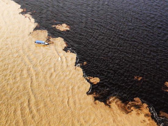 2つの川の合流地点を望む！アマゾン川クルーズ観光ツアー＜貸切／1日／昼食／英語ガイド／マナウス発＞