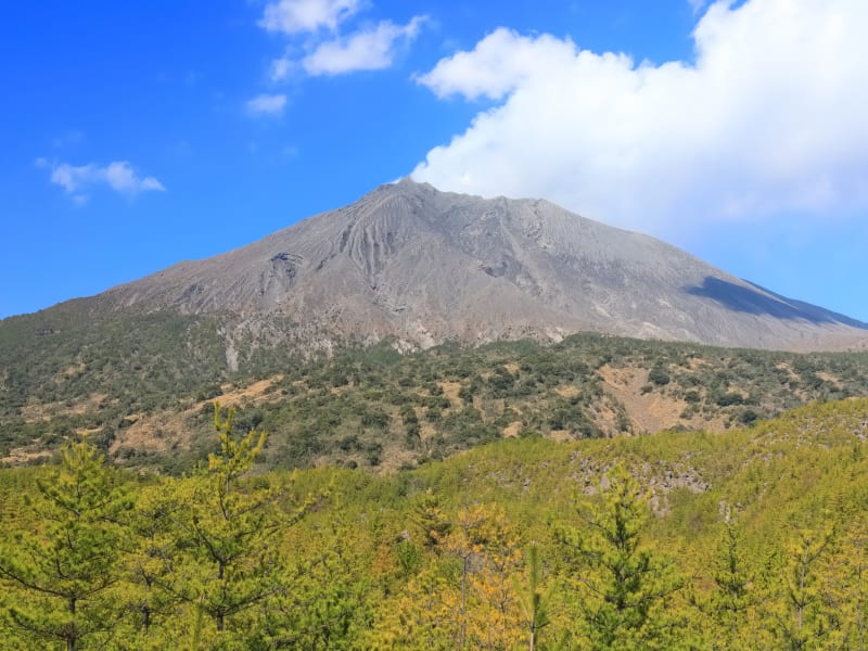 1名キャッシュバックあり オープントップバス かごんまそらバス ダイナミックな活火山を体験する桜島 錦江湾コース 3時間30分 午後 鹿児島中央駅発発 鹿児島の観光 遊び 体験 レジャー専門予約サイト Veltra ベルトラ