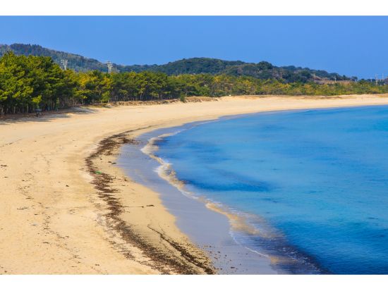 壱岐島 貸切観光タクシー　猿岩＋はらほげ地蔵＋壱岐イルカパーク＋筒城浜＋左京鼻＋黒崎砲台跡＋岳ノ辻展望台などへご案内＜5時間／1～9名／島内送迎可＞