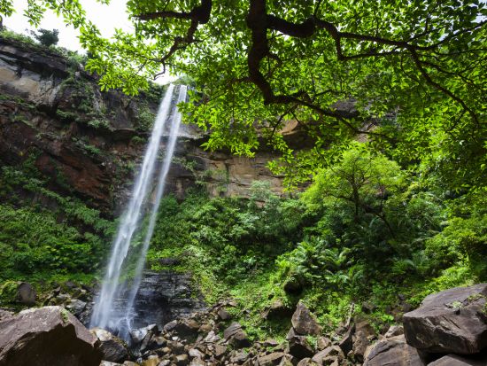 マングローブカヤック＋ピナイサーラの滝トレッキング＋バラス島周辺シュノーリングツアー　西表島の山川海を遊び尽くす1日！＜3～11月／西部地区無料送迎／西表島＞