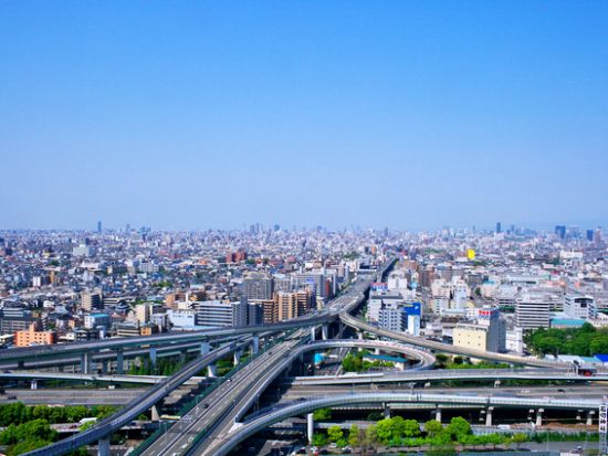 大阪セスナ遊覧飛行ツアー 空から楽しむ贅沢な関西観光＜大阪八尾空港発／飛行時間20分～55分＞
