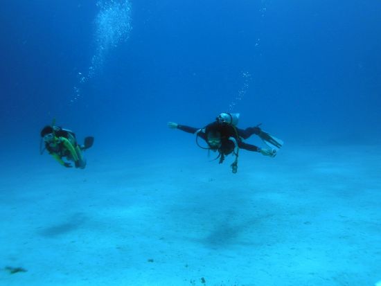 体験ダイビング 経験豊富なインストラクターが佐渡島の海へご案内＜ビーチ／1ダイブ／3時間＞by ダイビングサービスF.WAVE