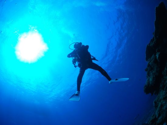 体験ダイビング 経験豊富なインストラクターが佐渡島の海へご案内＜ビーチ／1ダイブ／3時間＞by ダイビングサービスF.WAVE