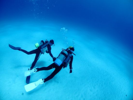 体験ダイビング 経験豊富なインストラクターが佐渡島の海へご案内＜ビーチ／1ダイブ／3時間＞by ダイビングサービスF.WAVE